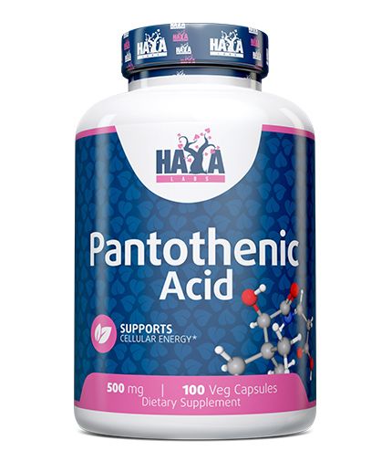 Haya Labs Pantothenic Acid (Pantoteno rūgštis (vitaminas B5)) 100 kaps.