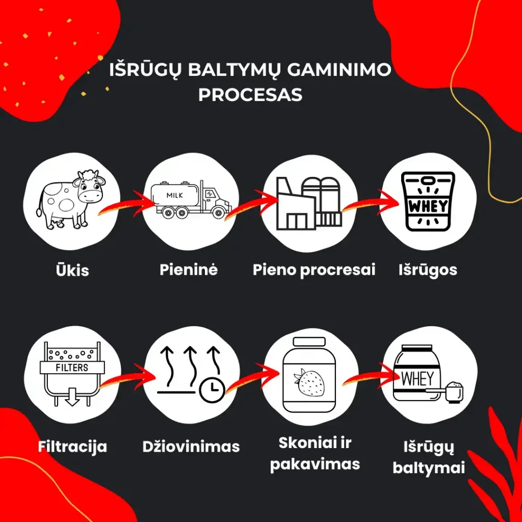 išrūgų baltymų gaminimo proces į kliento rankų