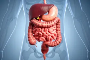 virškinimo fermentai, kas yra virškinimo fermentai, kasos fermentai